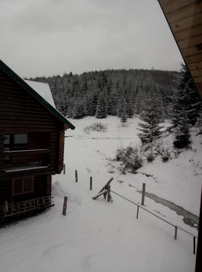 Wooddream Volovets Exterior foto
